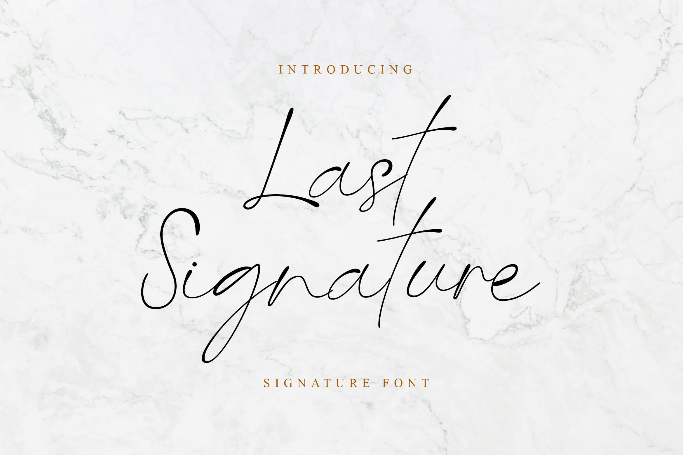 Przykład czcionki Last Signature
